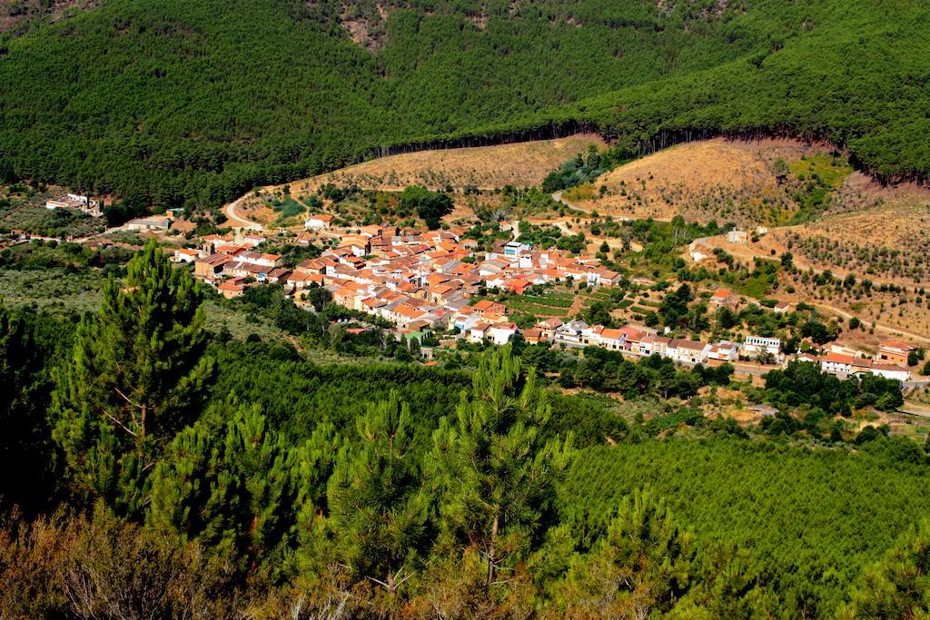 La Boticaria Casa Rural Apartamento Descargamaría Eksteriør billede